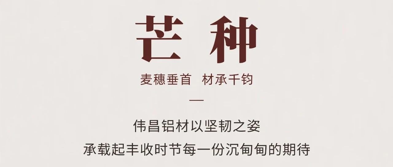 芒種 | 麥穗垂首  材承千鈞
